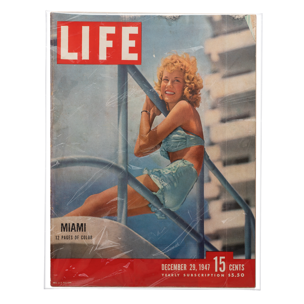 Resealable LIFE Magazine Bags