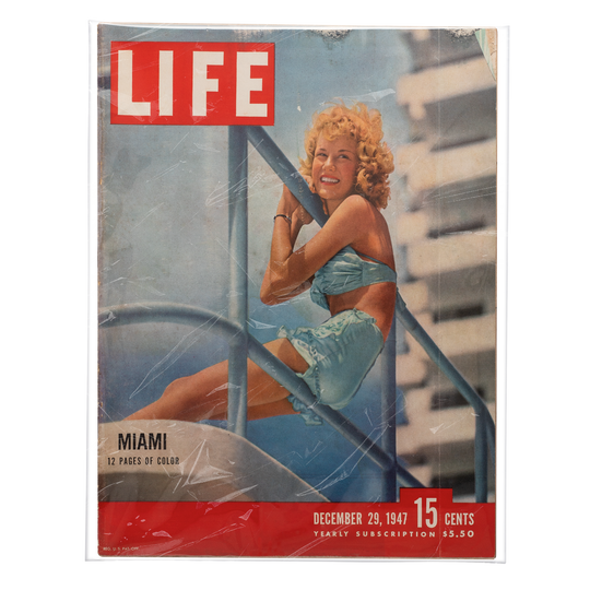 Resealable LIFE Magazine Bags