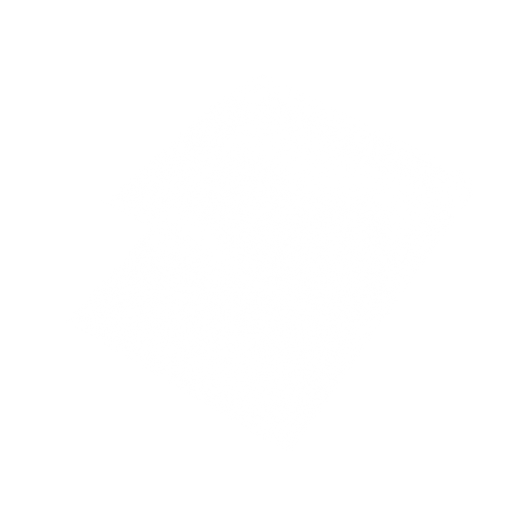 Inner Sleeves | Resealable Version