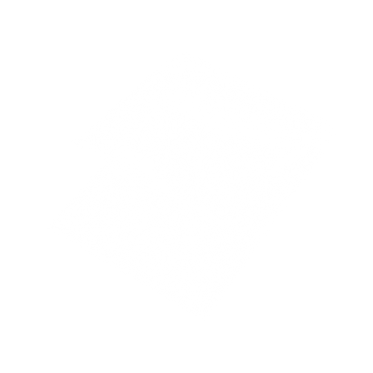 Inner Sleeves | Resealable Version